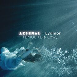 Cover of Temul (Lie Low) (feat. Lydmor) (Single Version)