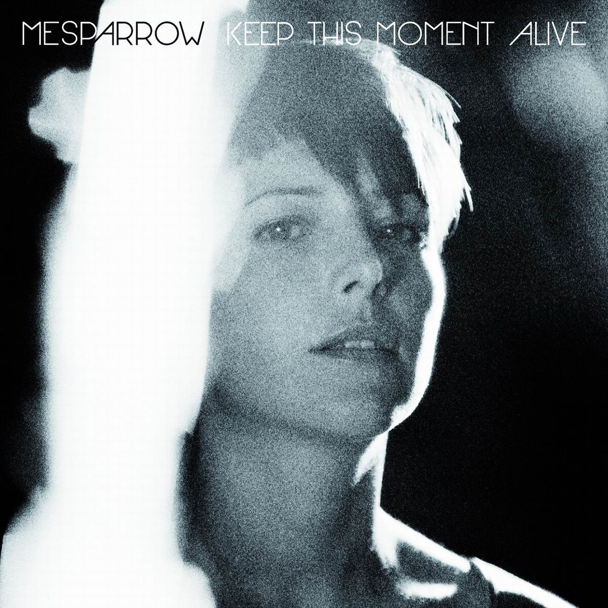 Album cover of The Symphony
