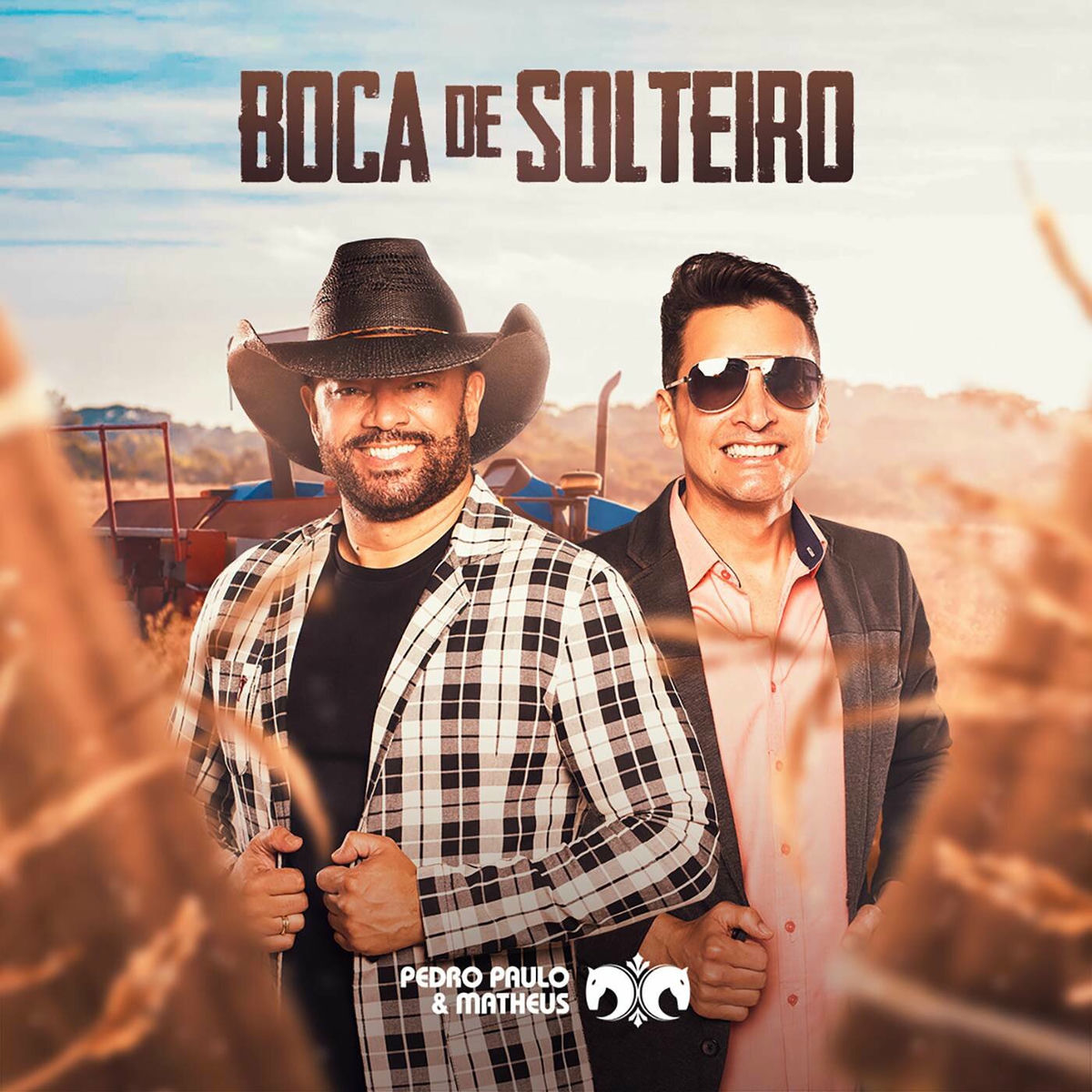 Album cover of Boca de Solteiro