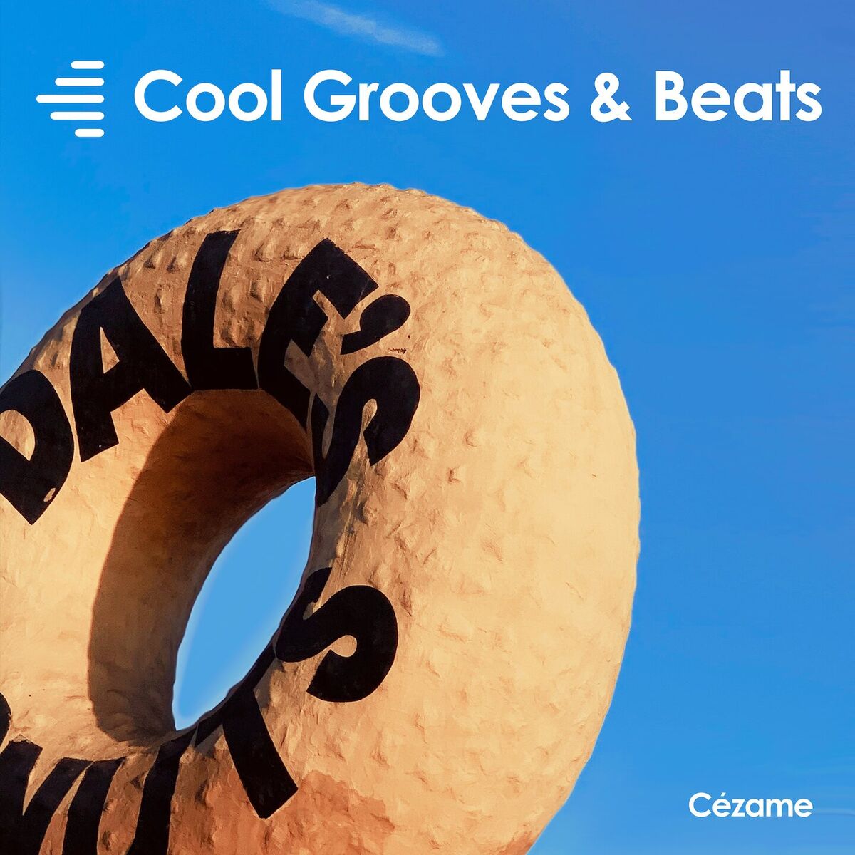 Album cover of Cool Grooves & Beats