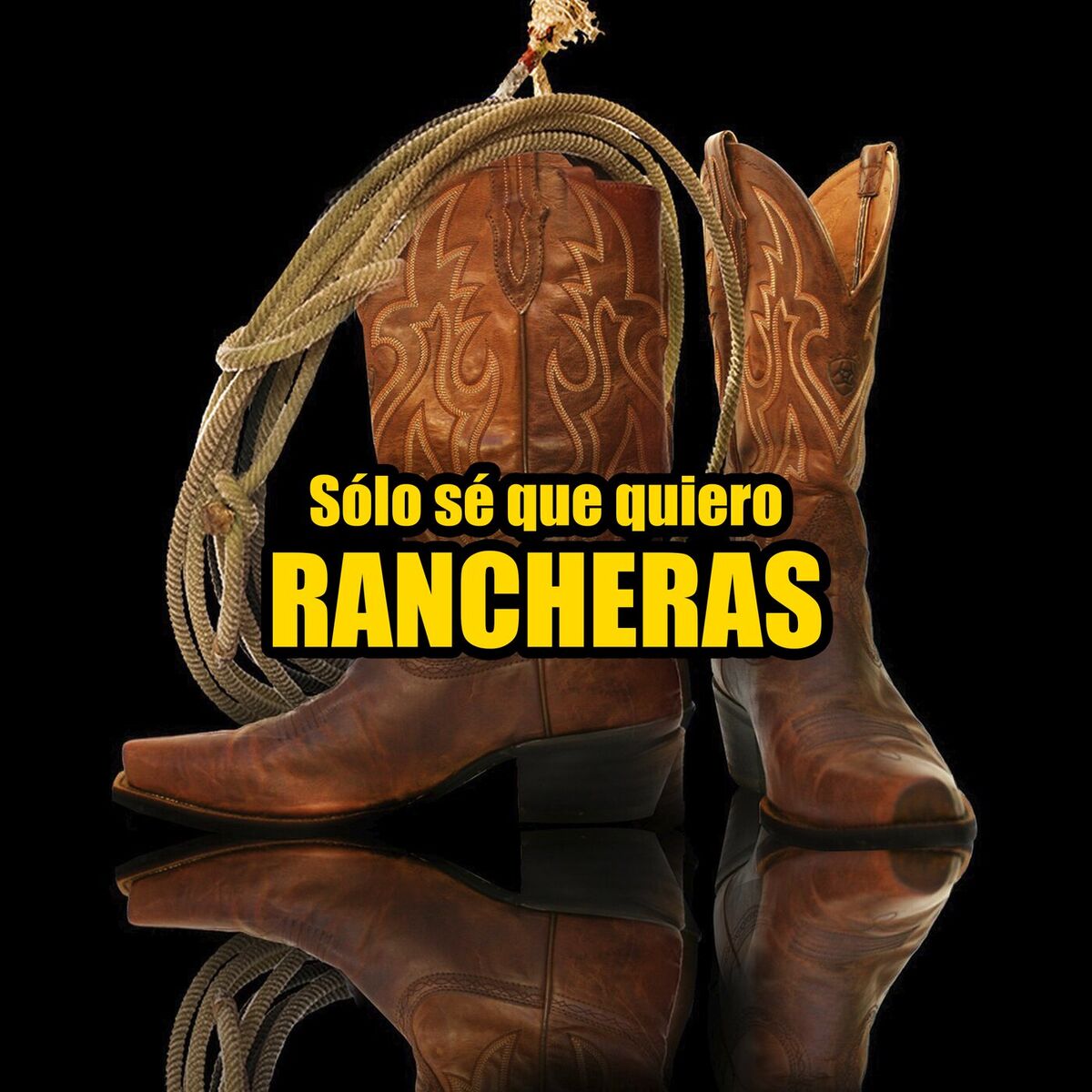 Album cover of Sólo sé que quiero RANCHERAS