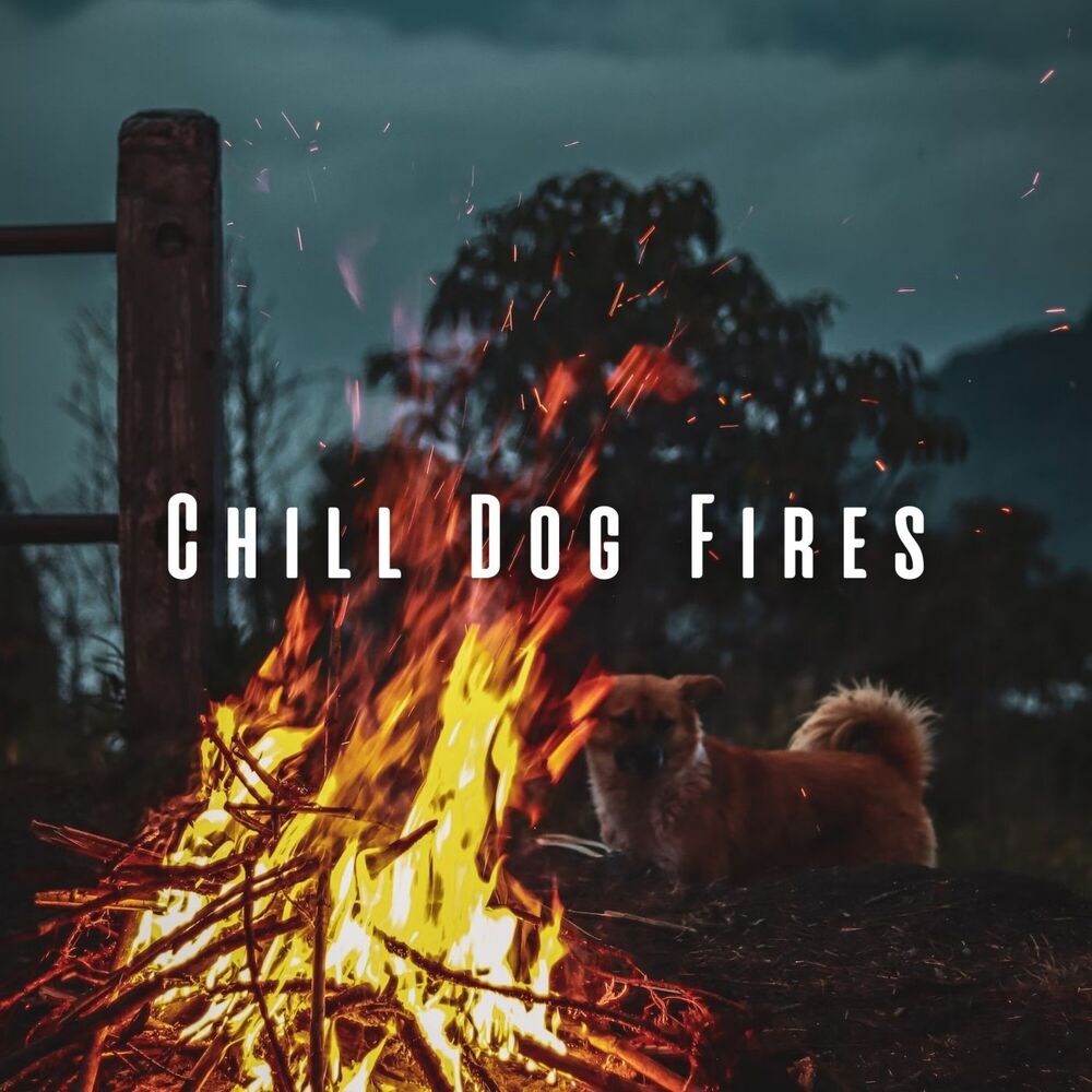 Picture of Chill Dog Fires: Binaural Sounds for a Relaxed Canine Atmosphere