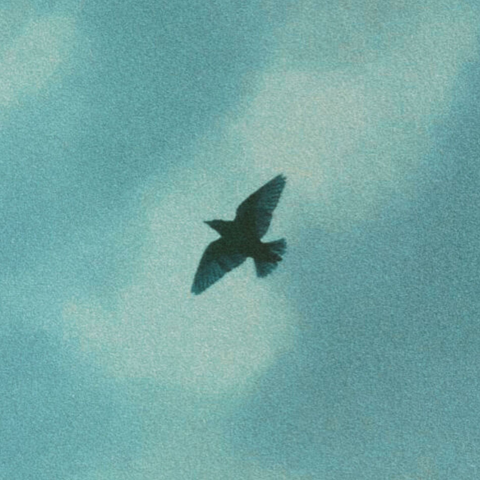 Album cover of Die For You (Beat)