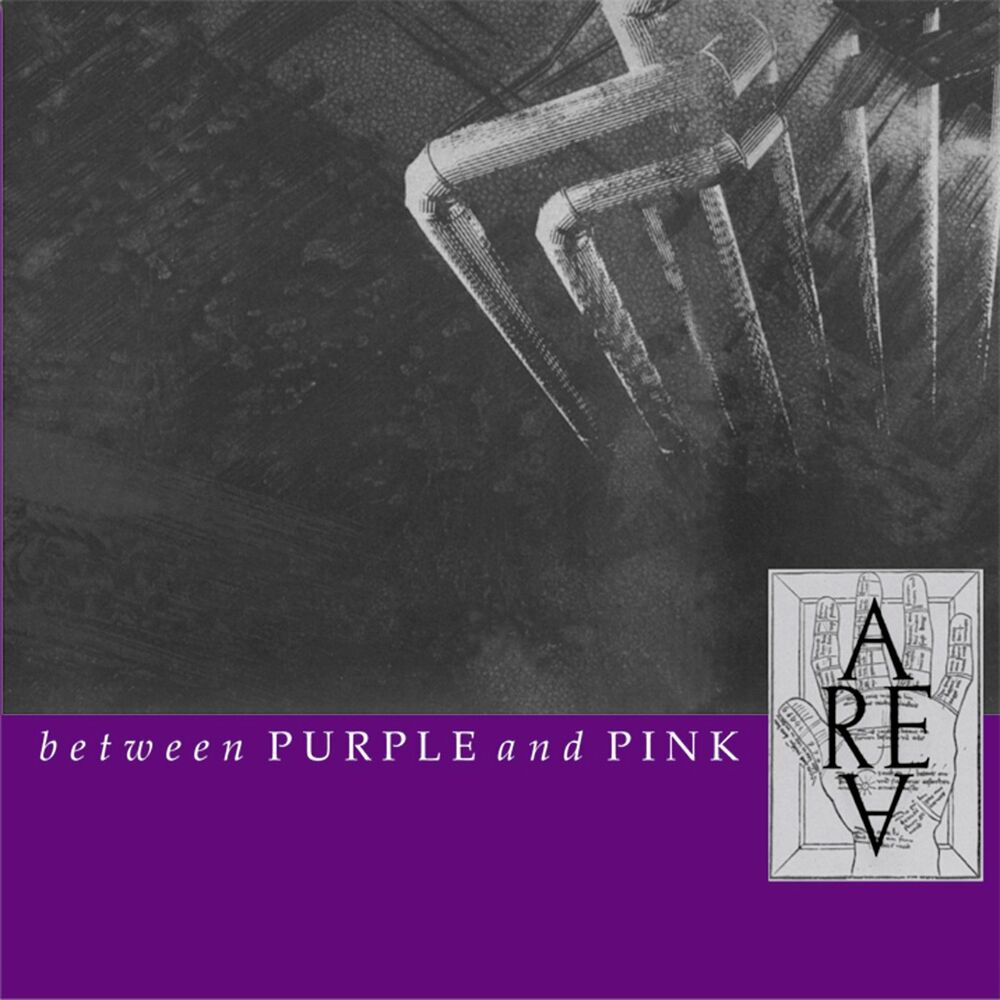 Picture of Between Purple & Pink