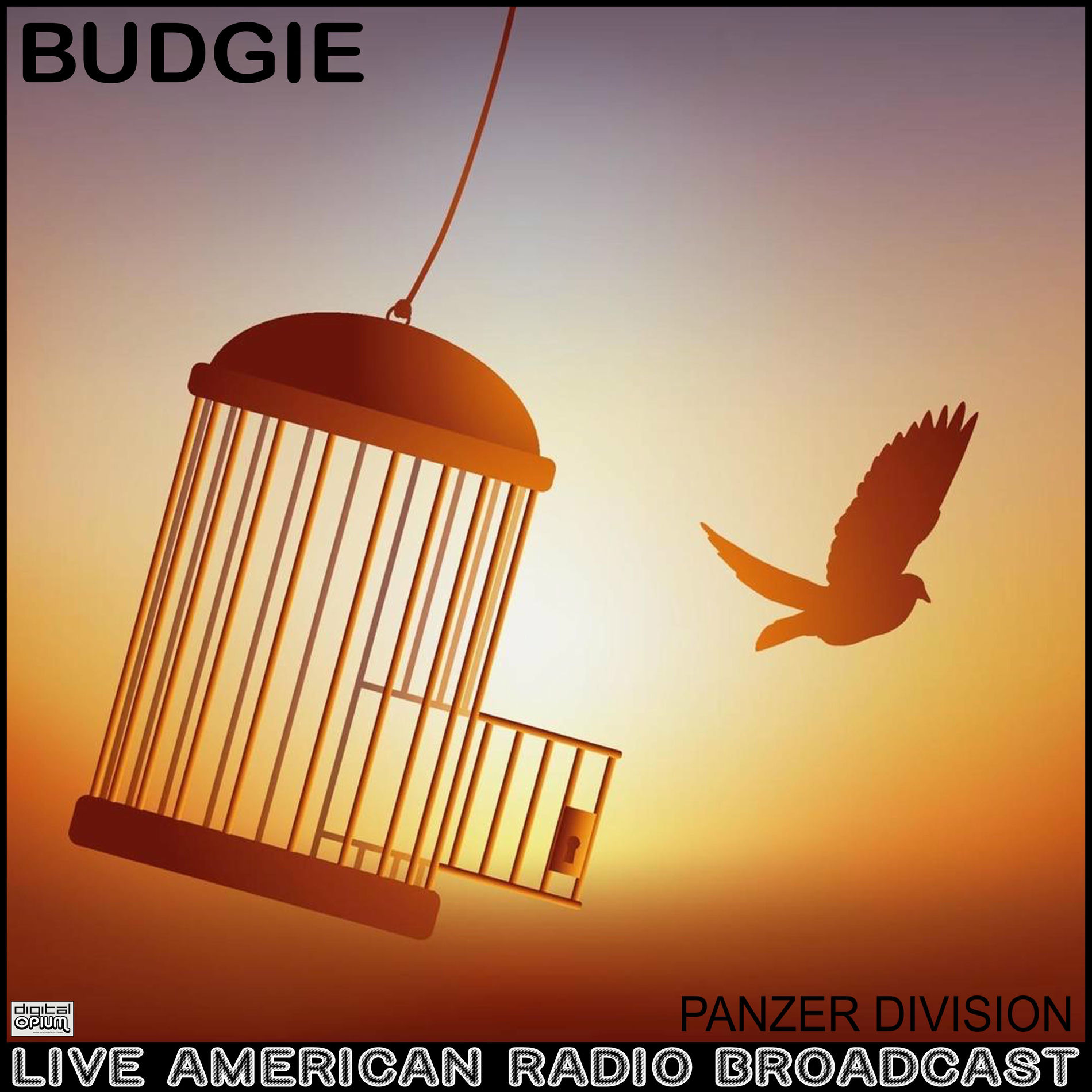 Album cover of Panzer Division (Live)