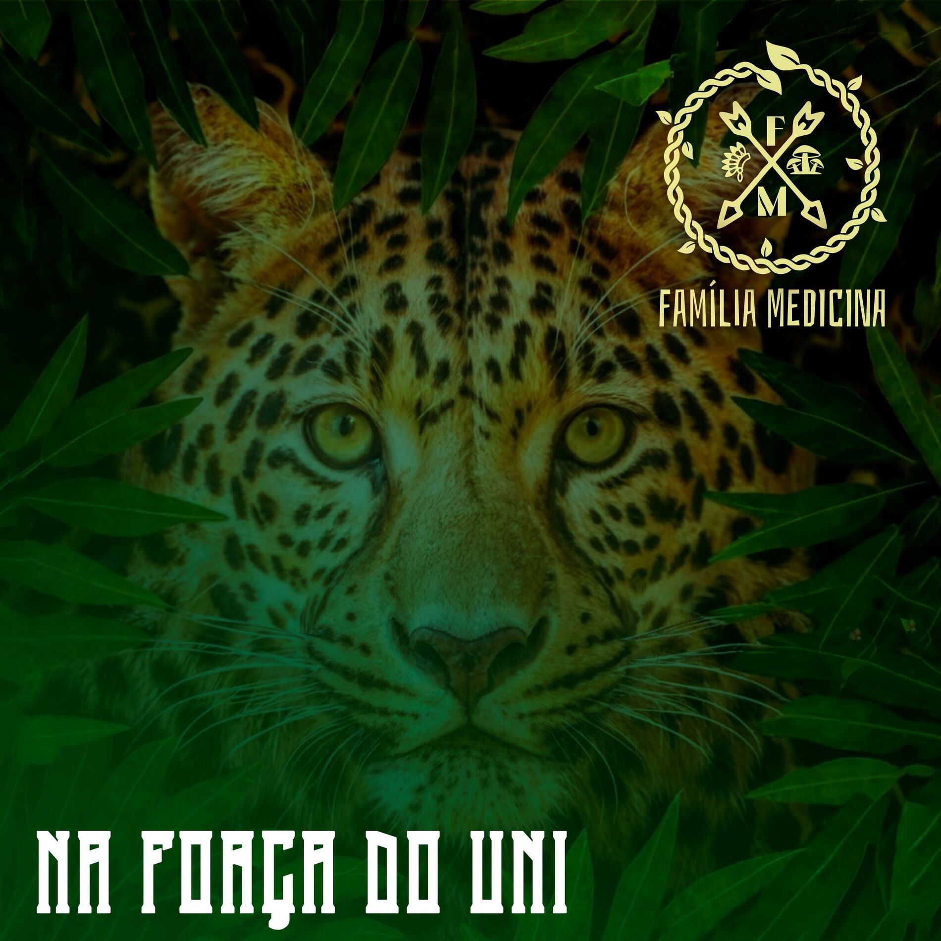Album cover of Mensageiro Beija Flor