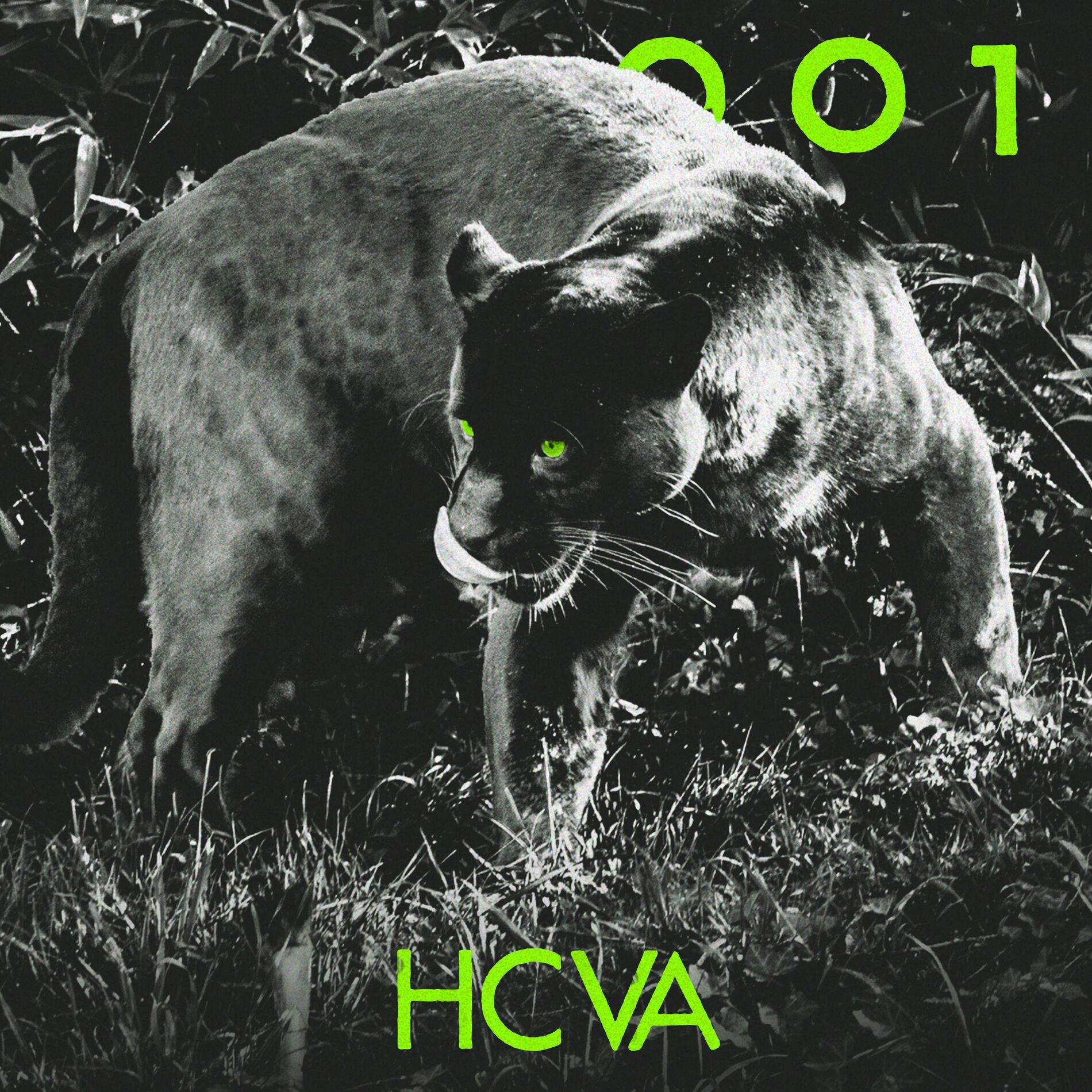 Album cover of HCVA001