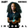 Immortal by 2LOT album cover