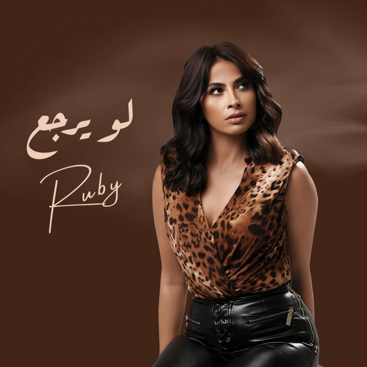 Album cover of لو يرجع