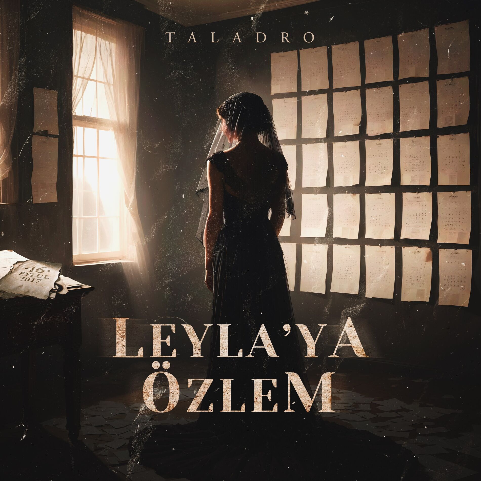 Album cover of Leyla'ya Özlem