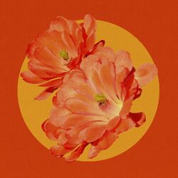 Cover of Desert Flower (Remix)