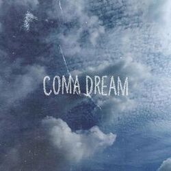 Cover of coma dream
