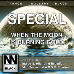 Cover of When The Moon Is Burning Gold
