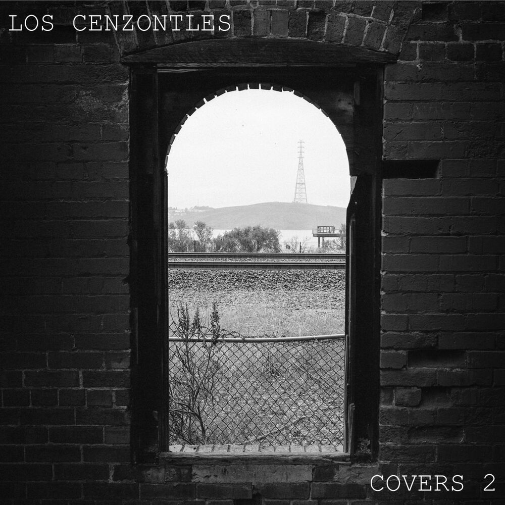 Picture of Covers 2