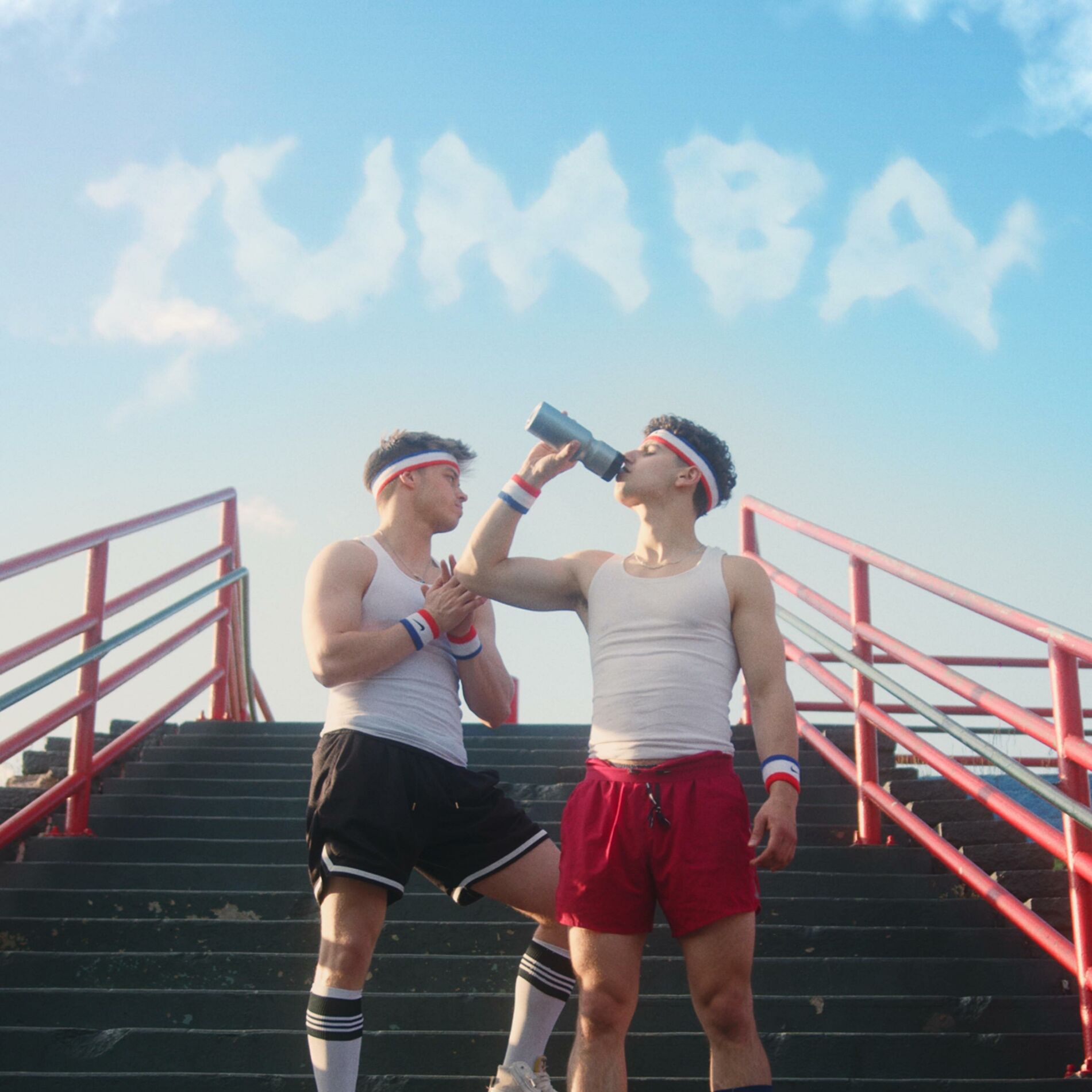 Album cover of ZUMBA