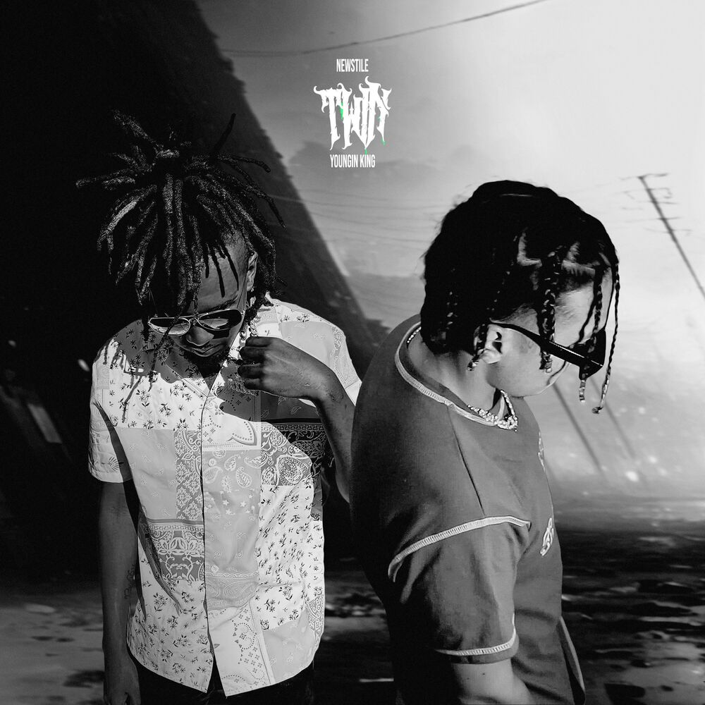 Picture of Twin
