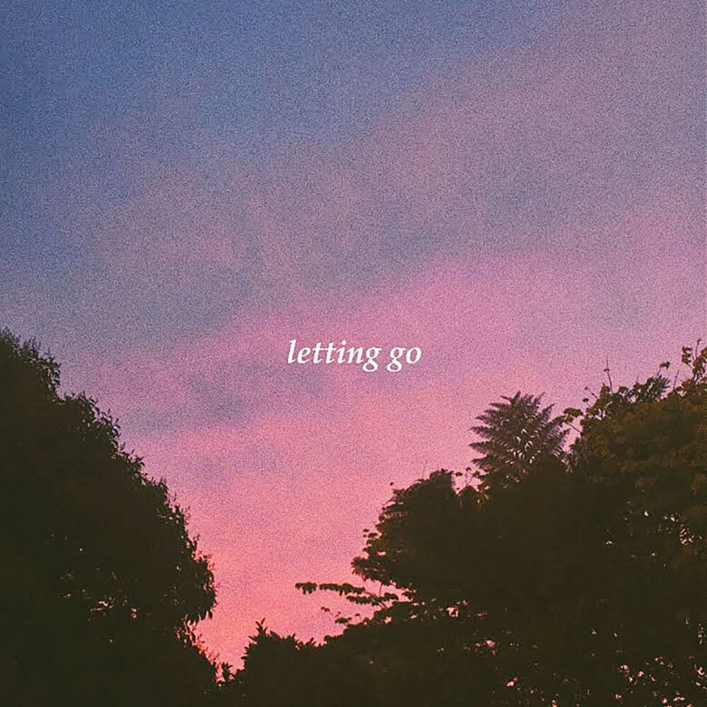 Picture of Letting Go