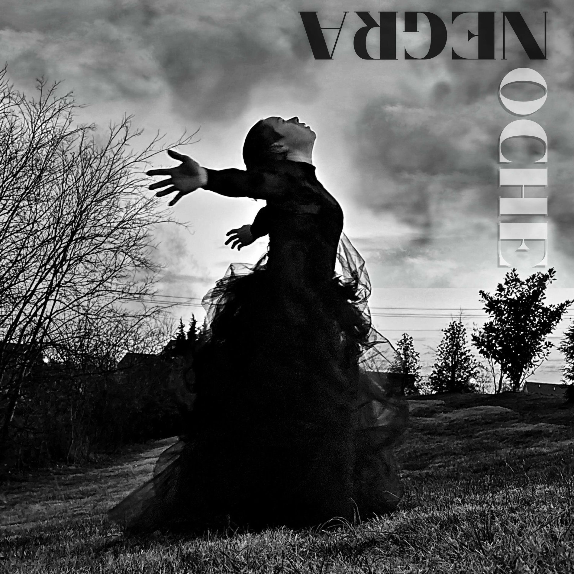 Album cover of Negra Noche