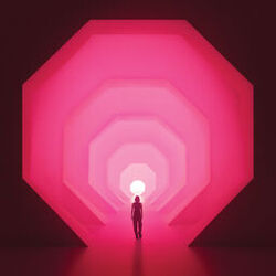 Cover of Amnioverse