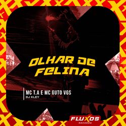 Cover of Olhar de Felina