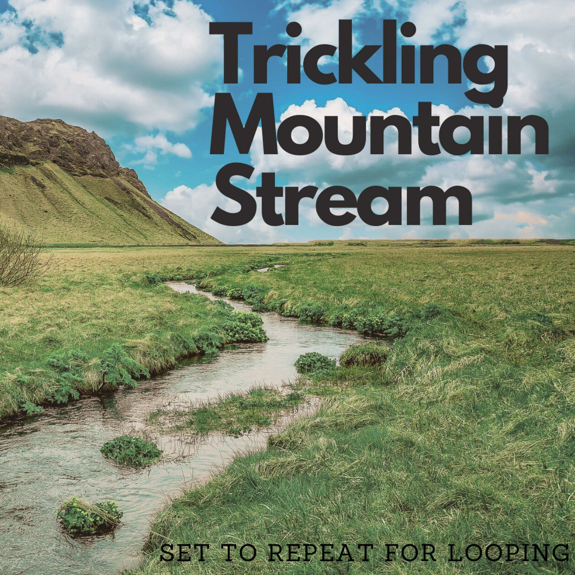 Album cover of Trickling Mountain Stream