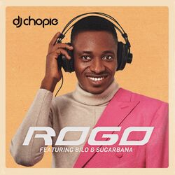 Cover of Rogo