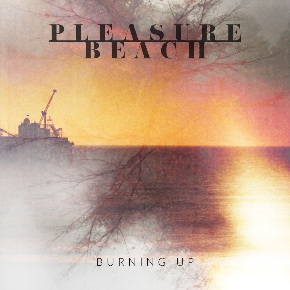Picture of Burning Up