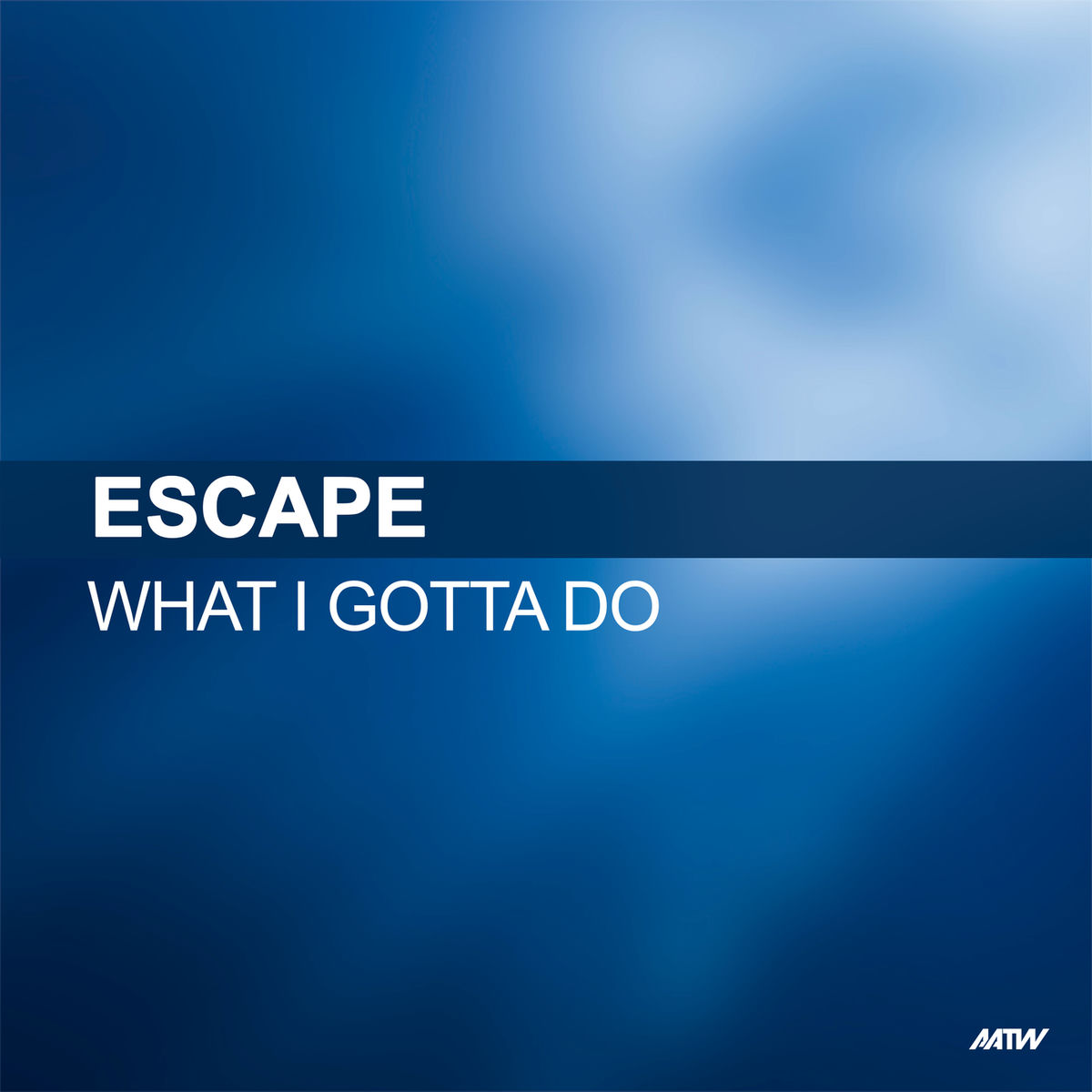 Album cover of What I Gotta Do
