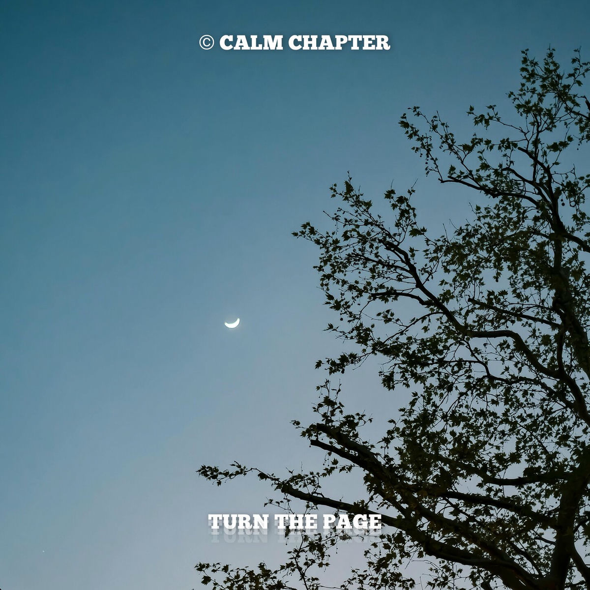 Album cover of Turn The Page