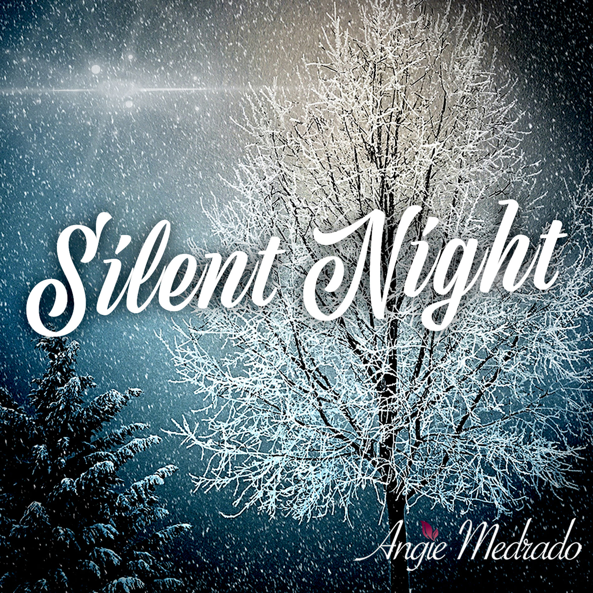 Album cover of Silent Night