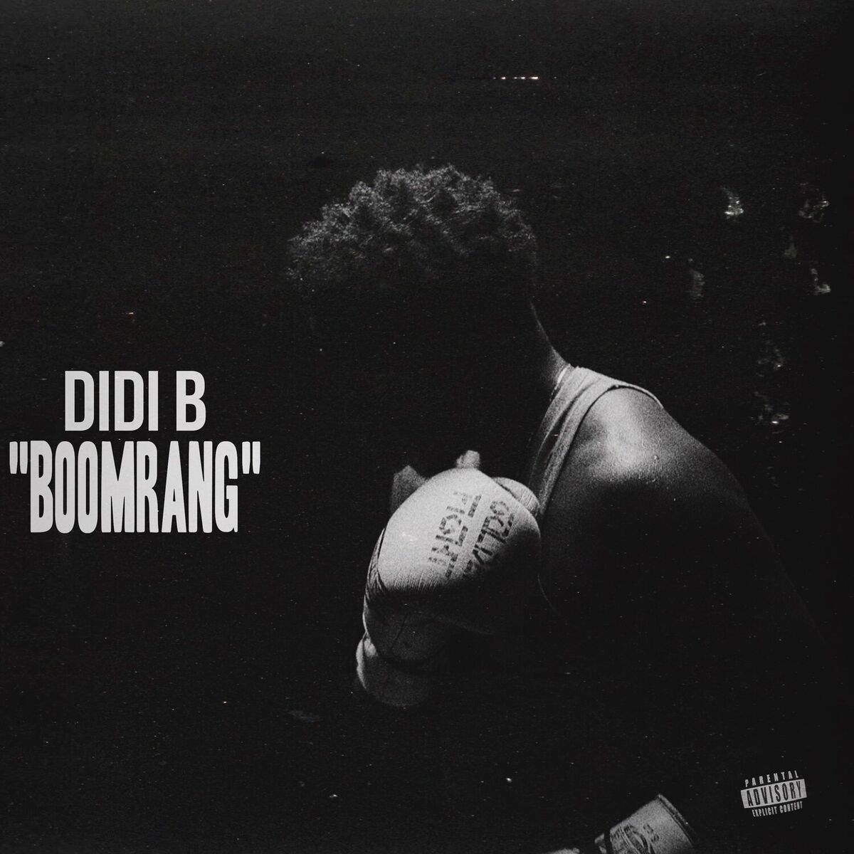 Album cover of Boomrang