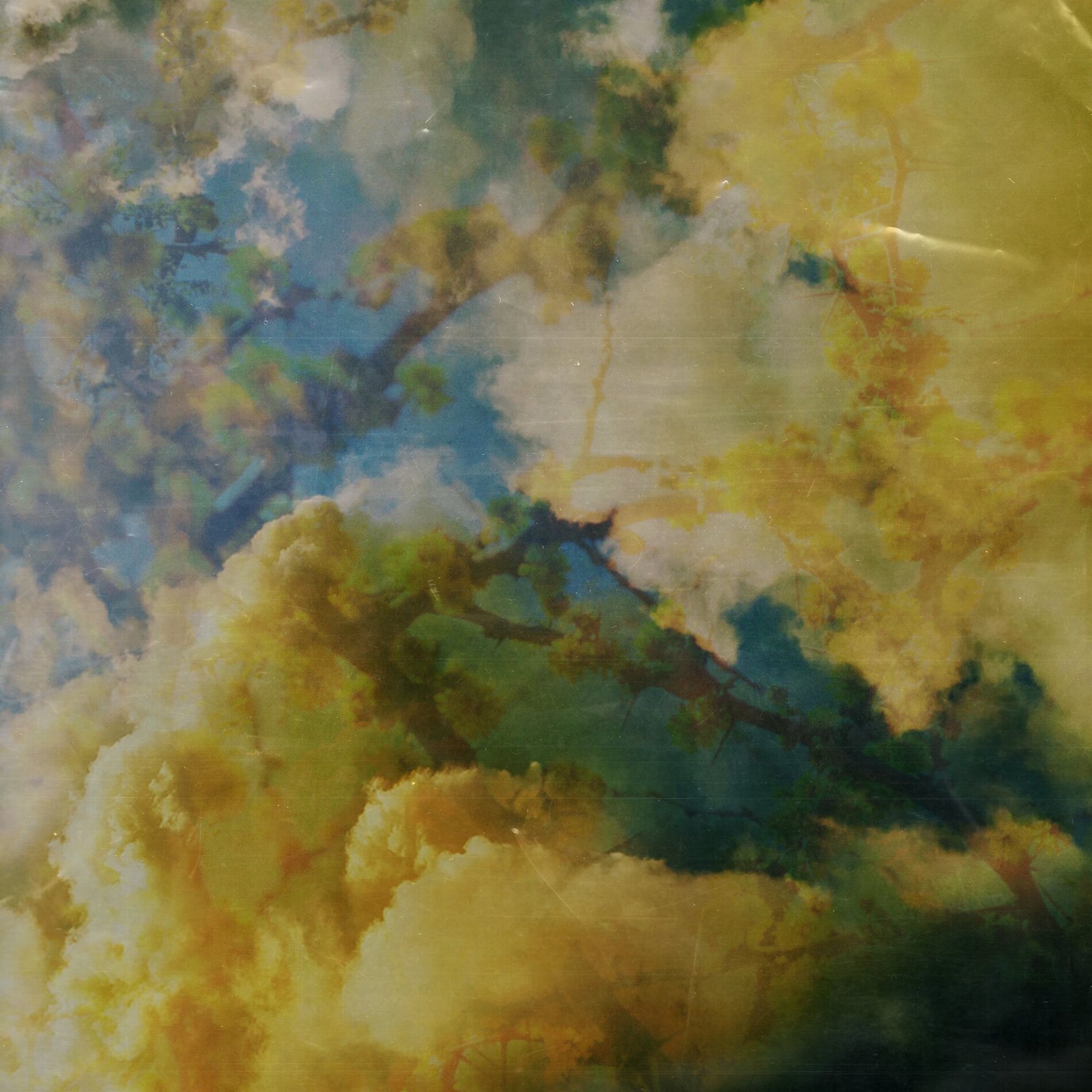 Album cover of Mimosa