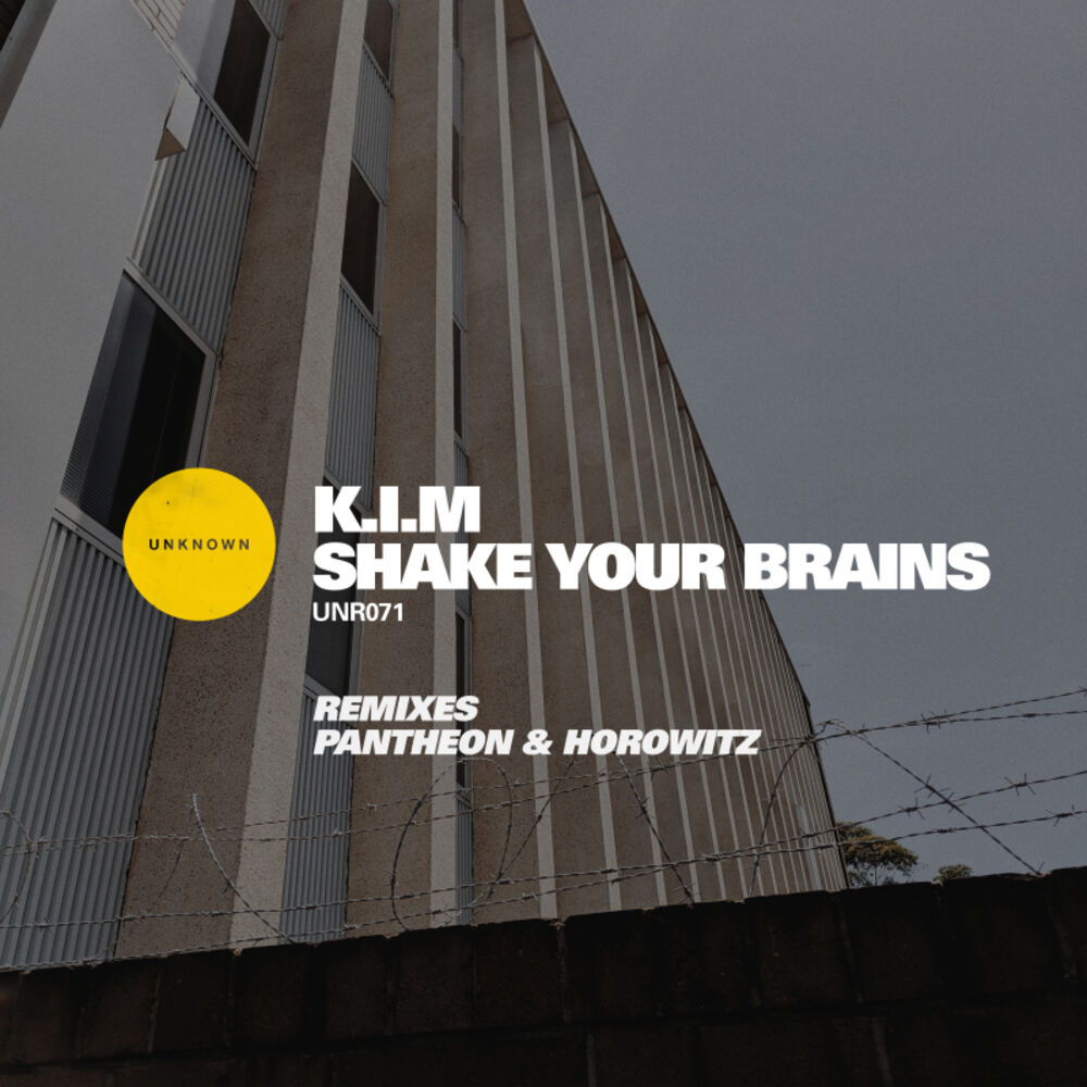 Picture of Shake Your Brains