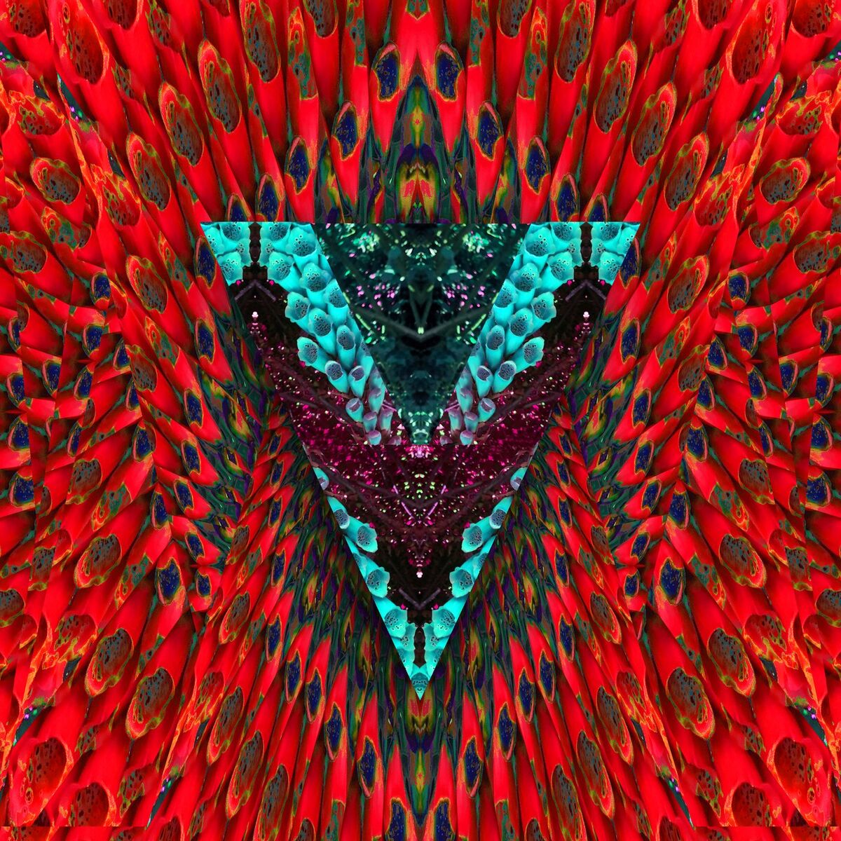 Album cover of Undone