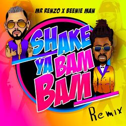 Cover of Shake Ya Bam Bam (Remix)