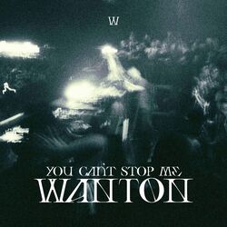 Cover of You can't stop me