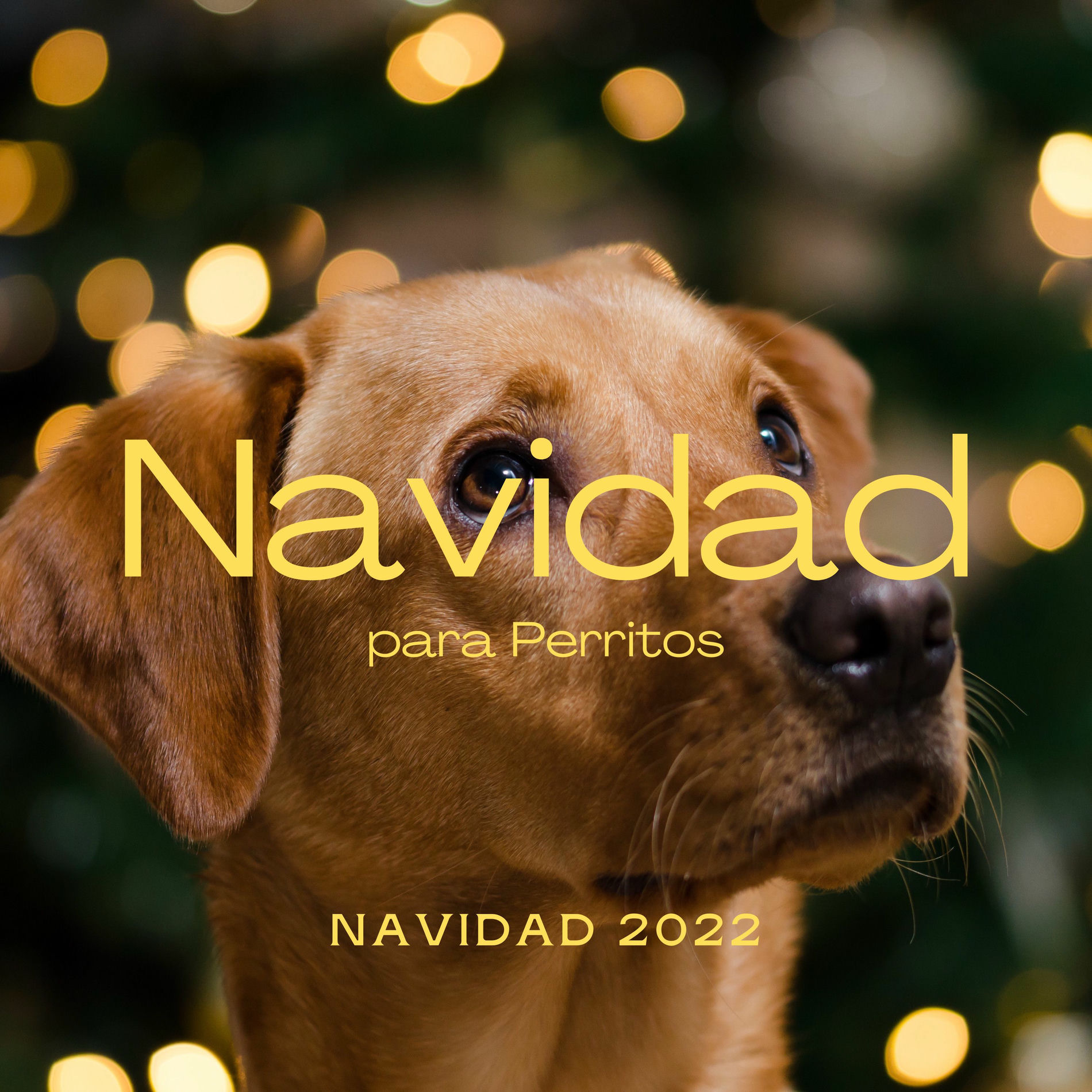 Album cover of 1 0 1 Navidad