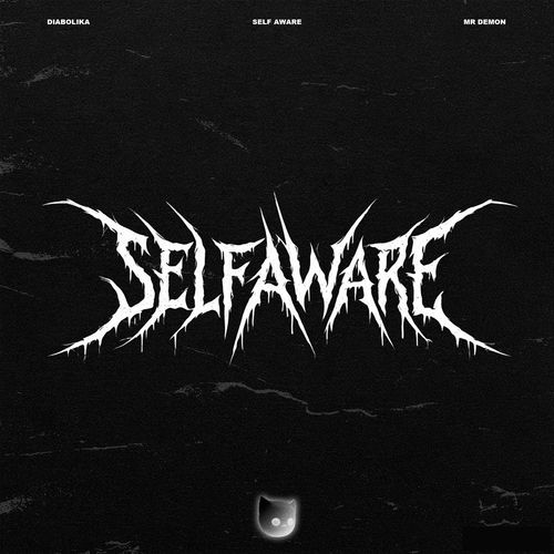 Self Aware (Hardtekk)
