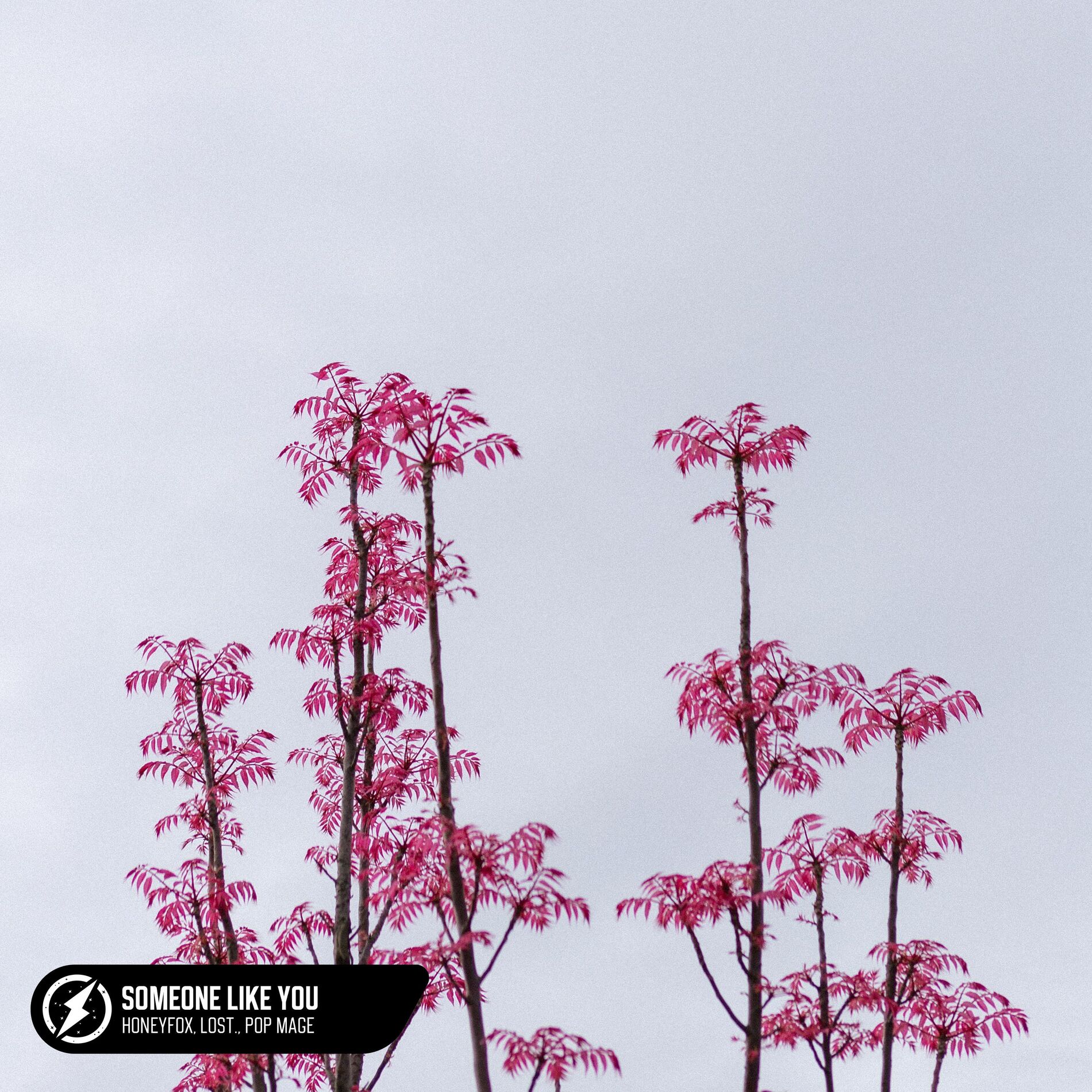 Album cover of Someone Like You (Acoustic)