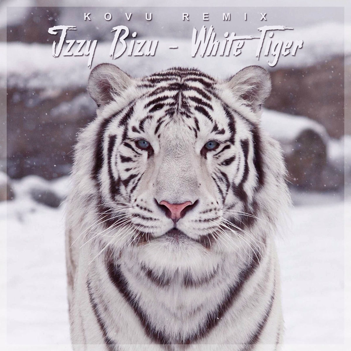 Album cover of Izzy Bizu (White Tiger) [Kovu Remix]
