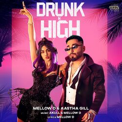 Cover of Drunk n High