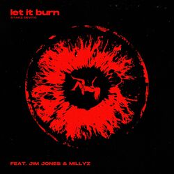 Cover of Let It Burn