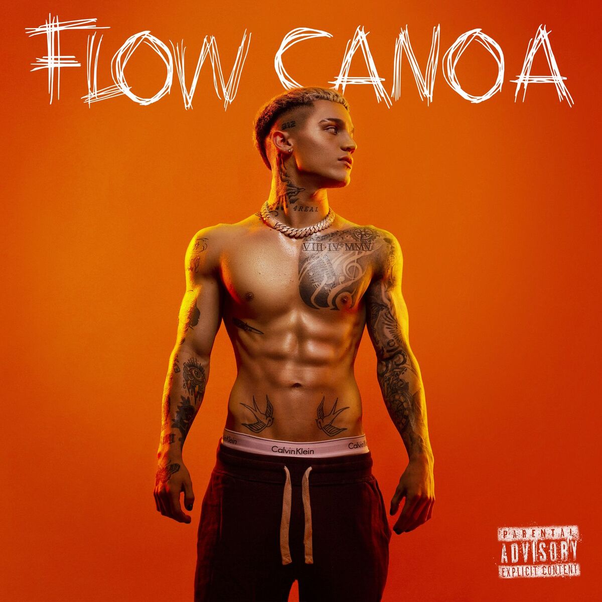 Album cover of EL INGRESO