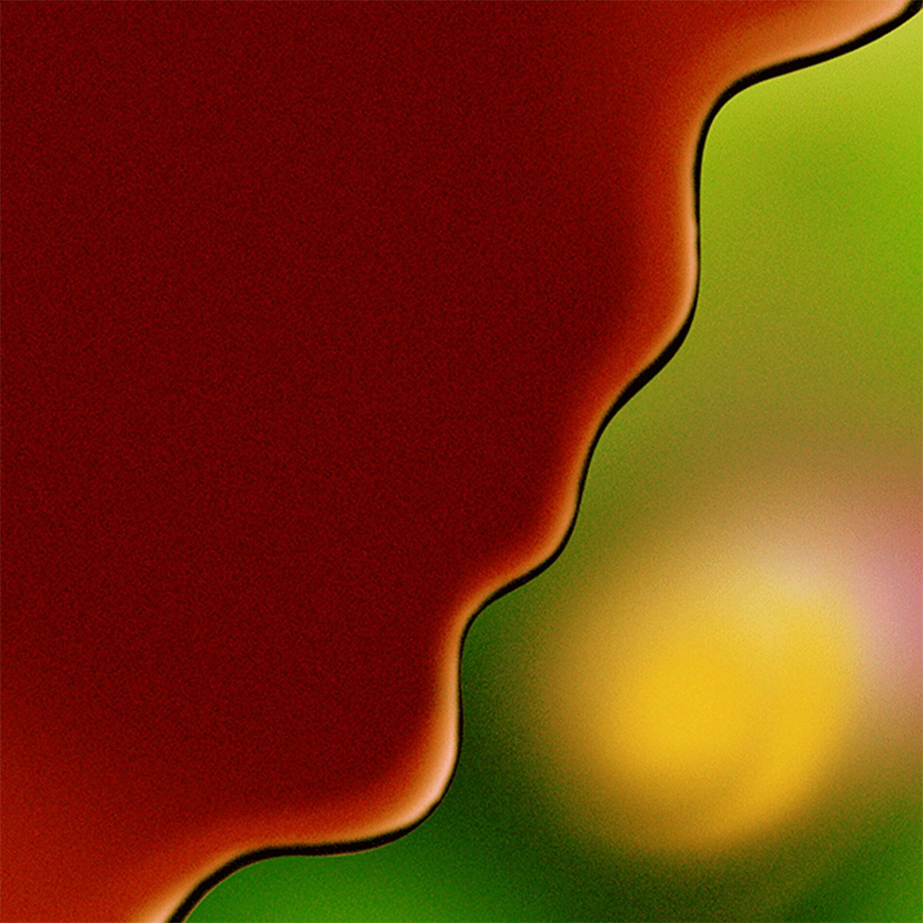 Album cover of Bloom of the Gloom