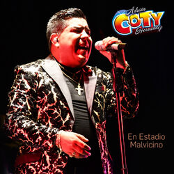 Cover of En el Estadio Malvicino