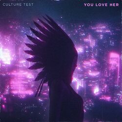 Cover of Culture Test