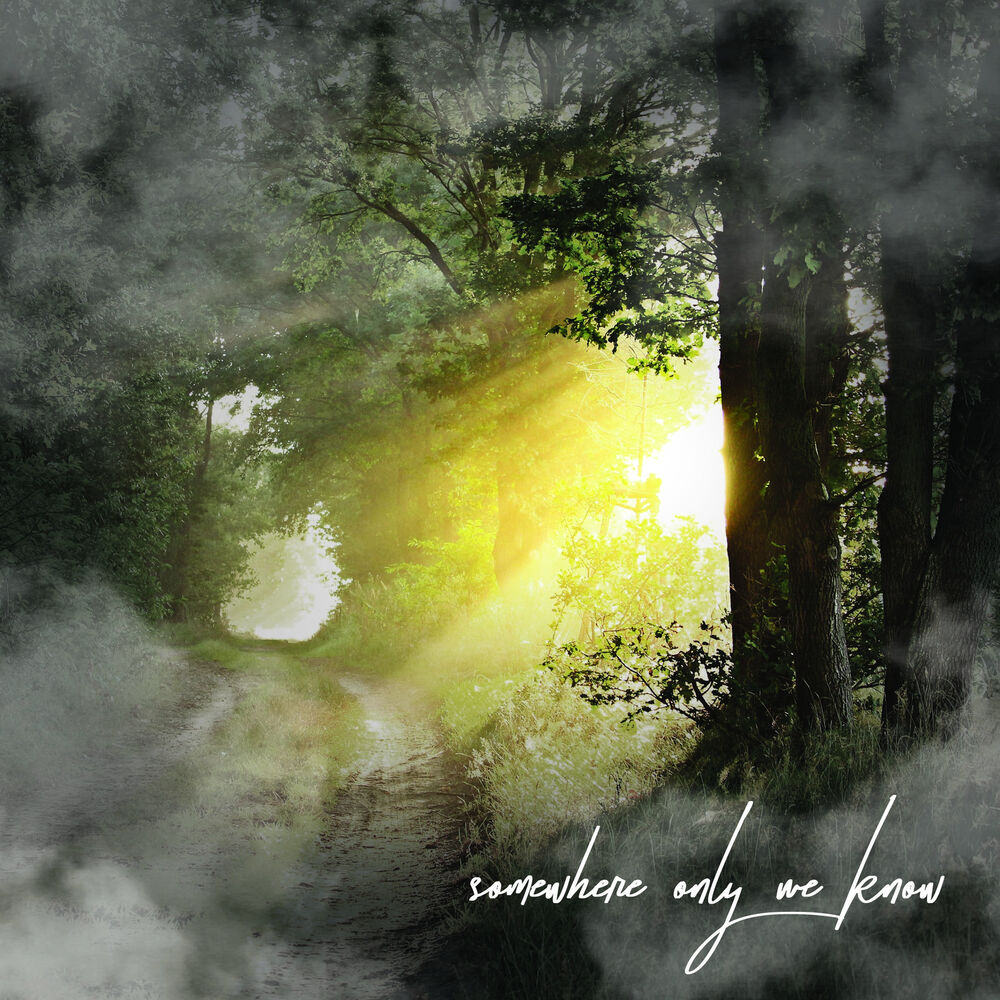 Picture of Somewhere Only We Know (Deluxe Version)
