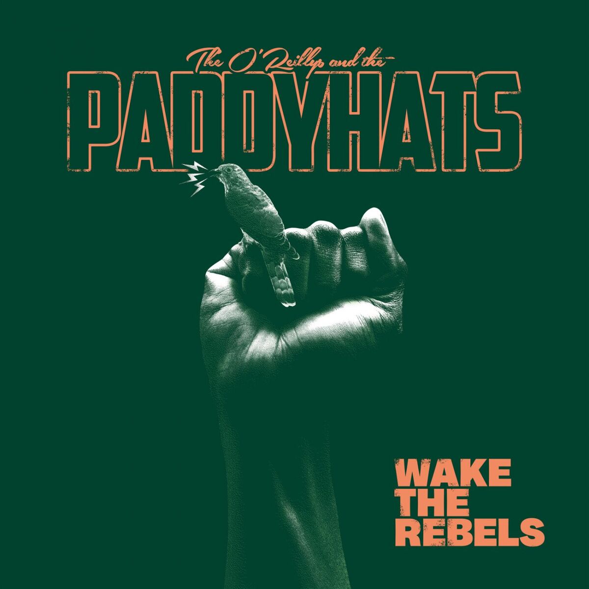 Album cover of Wake The Rebels
