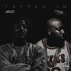 Cover of Tapped In