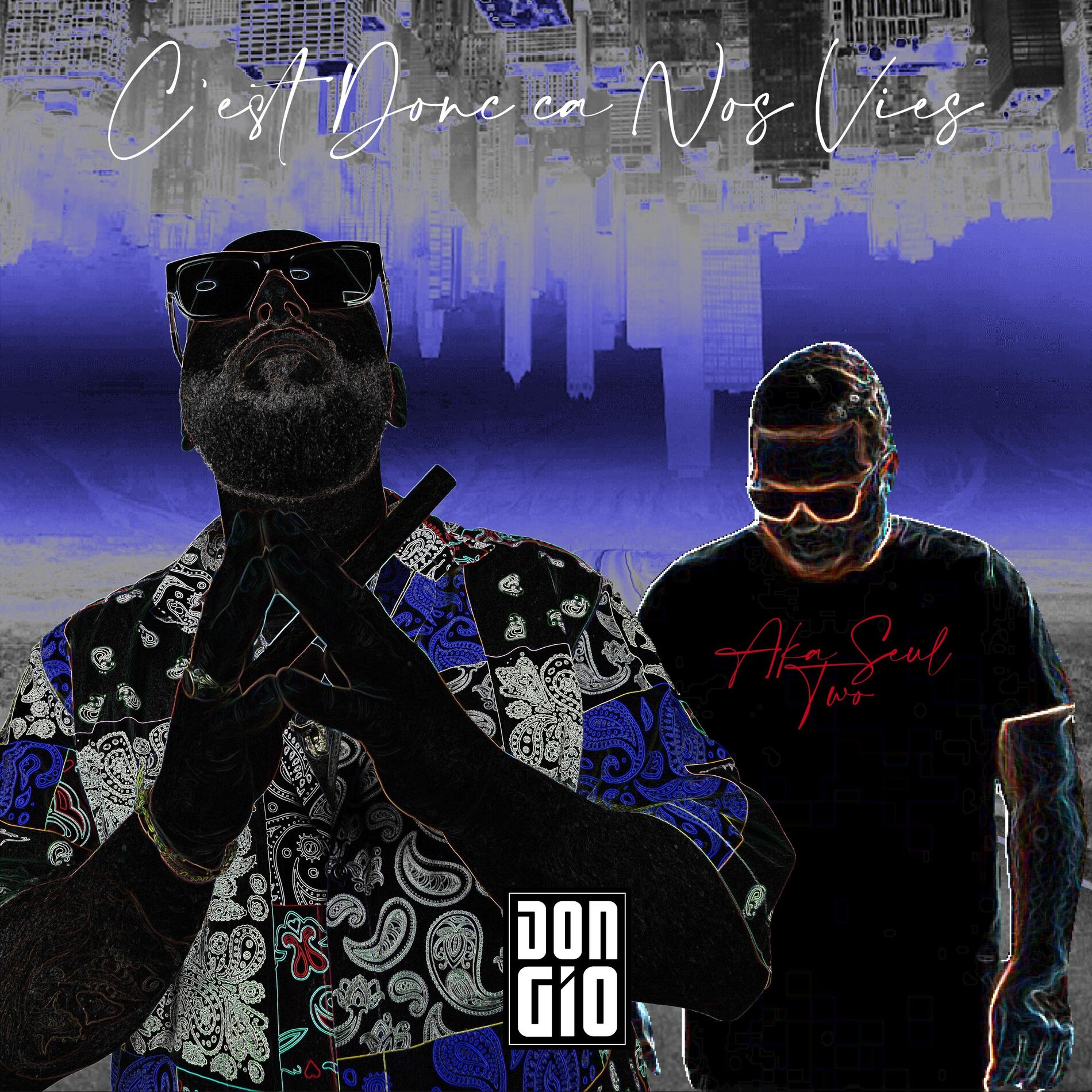 Album cover of C'est donc ça nos vies (feat. Aka Seul Two)
